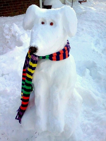 12.12.15 - Snow Sculptures17