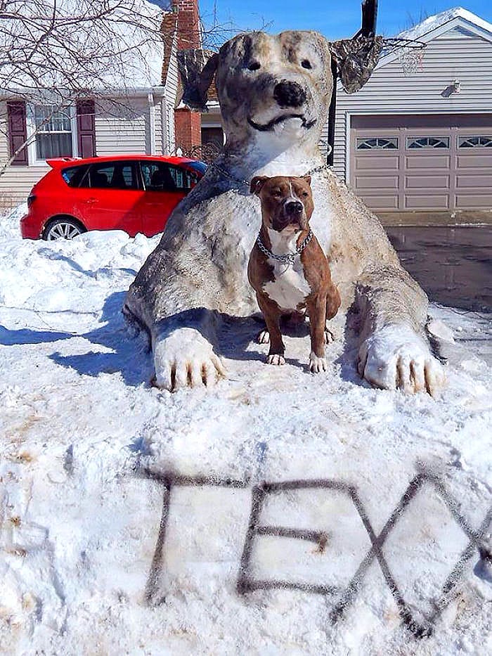 Truly Awesome Snow Sculptures of Dogs - Life With Dogs