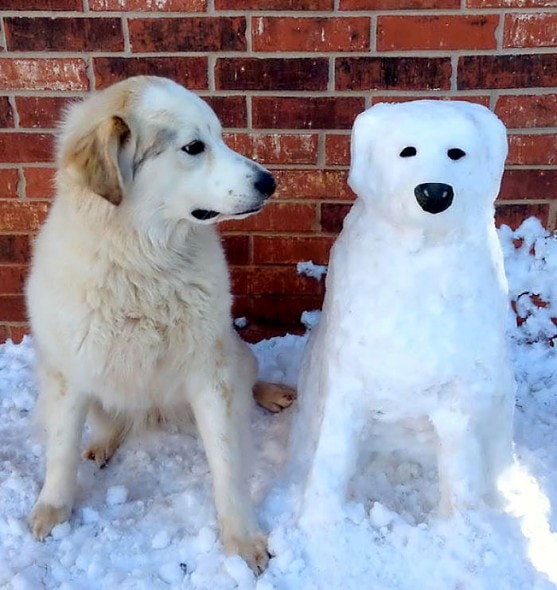 12.12.15 - Snow Sculptures7