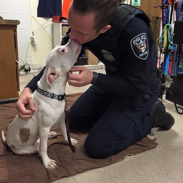 Molly with officer McMullen. Photo credit: ABC2News Paul Jaffey/ BARCS Animal Shelter - Facebook
