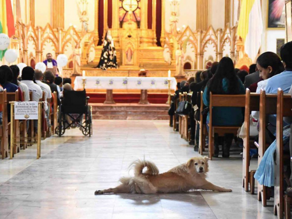 Photo credit: Grupo Caridad/Facebook