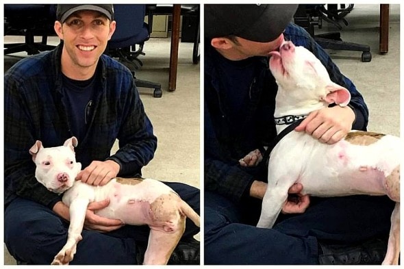 2.11.16 - Dog Run Over by Train Adopted by Officer Who Saved Her1