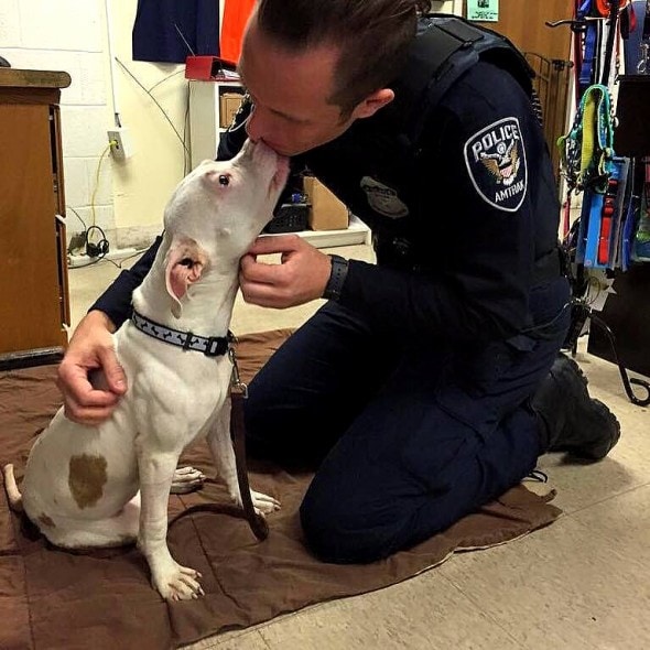 2.11.16 - Dog Run Over by Train Adopted by Officer Who Saved Her4