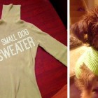 2.12.16 Turn One Old Sweater into Three Sweaters for Shelter Dogs1