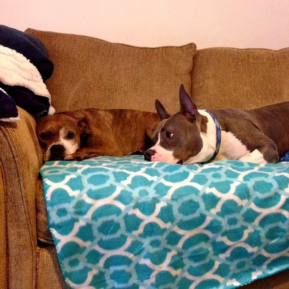 Spock has a new girlfriend - she visits occasionally when her parents go out of town.
