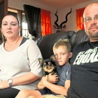 2.24.16 Chihuahua Helps Save South African Family from Four Gunmen2