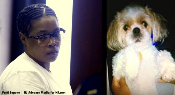 2.24.16 - Woman Sentenced to Four Years in Prison for Dog’s Murder1