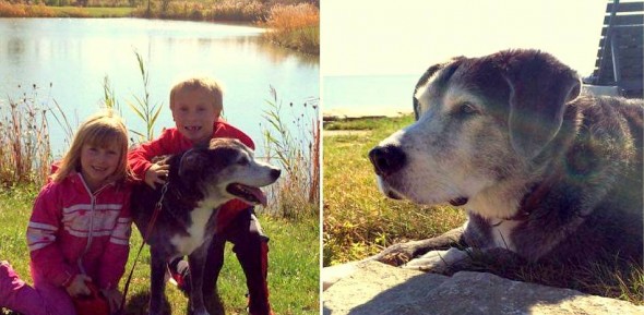 2.6.16 - WECHS Rescue Happy Ending00