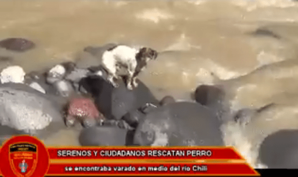 Photo credit: Seguridad Ciudadana Arequipa/Facebook