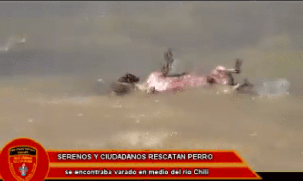 Photo credit: Seguridad Ciudadana Arequipa/Facebook
