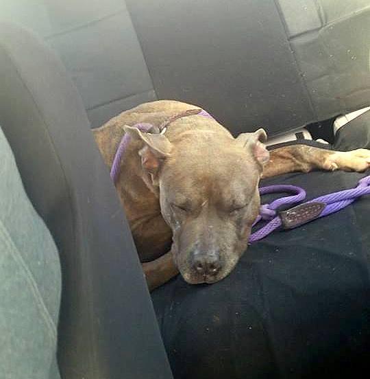 3.22.16 - Journey's Rescue3
