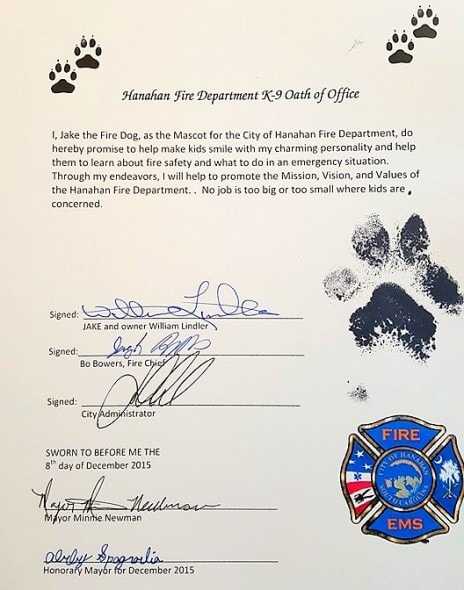 3.4.16 - Puppy Burned in Fire Becomes a Firefighter2