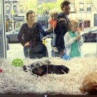 3.9.16 Boston Bans Puppy Mill Pet Shops0