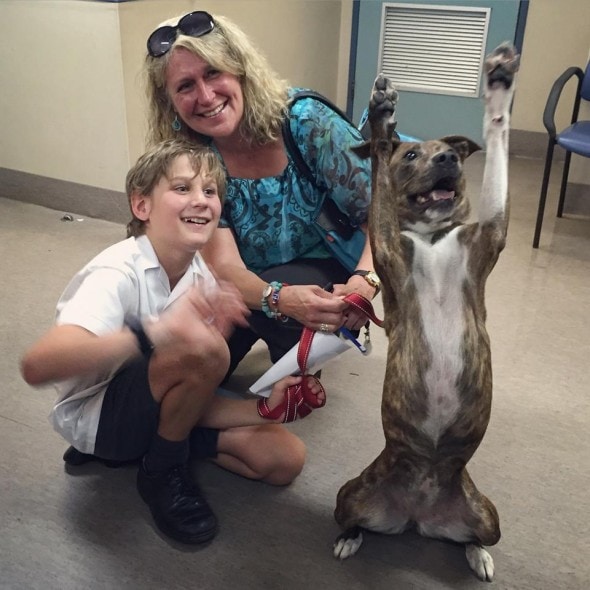 Cosco with her new family. Photo credit: Lort Smith Hospital.