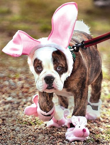 Photo credit: Pinterest