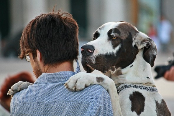 "save your hugs for your two-footed family members...." says Coren. Photo: DavideGorla