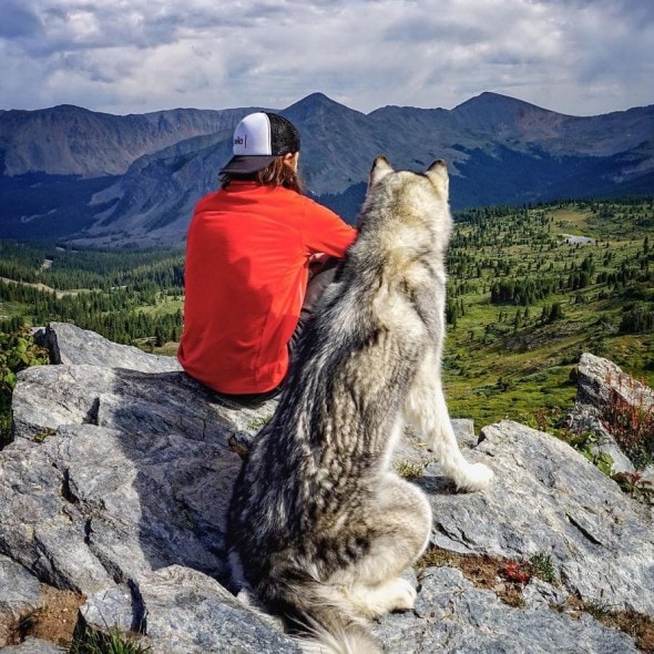 4.10.16 - Loki the Wolfdog's Adventures11