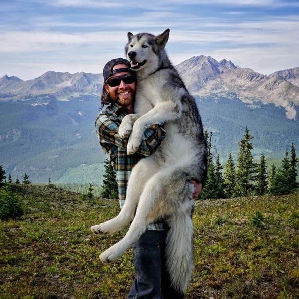 4.10.16 - Loki the Wolfdog's Adventures20