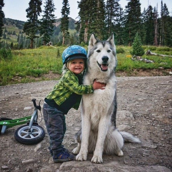 4.10.16 - Loki the Wolfdog's Adventures6