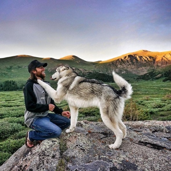 4.10.16 - Loki the Wolfdog's Adventures7