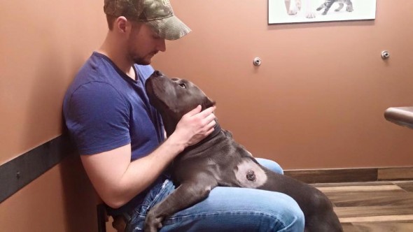 SHH Foster dad with dog fighting cancer