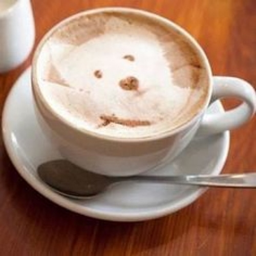 dog latte 12