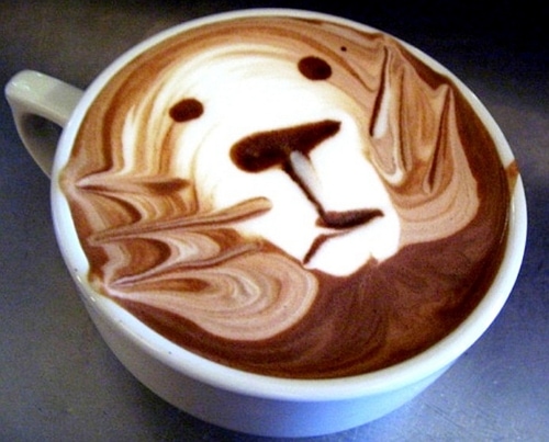 dog latte 14