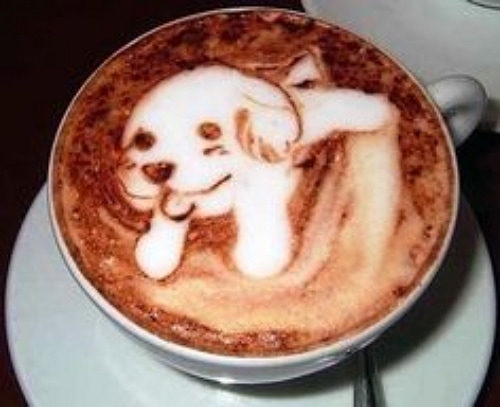 dog latte 7