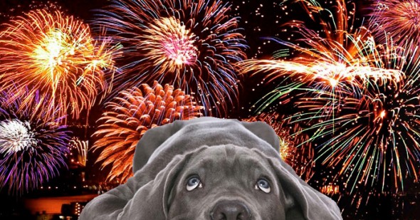fireworks 2