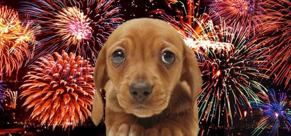 fireworks
