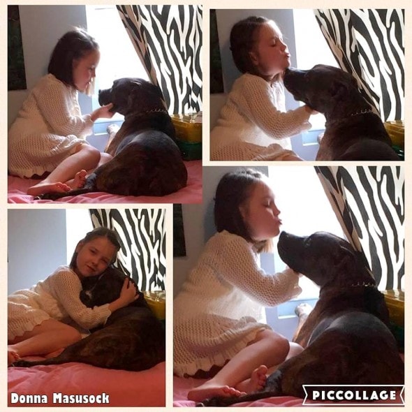 5.1.16 - Little Girl Serenades Foster Dog9