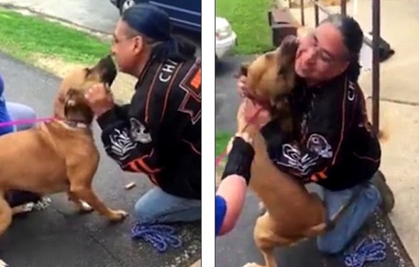 5.11.16 - Stolen Dog Goes Absolutely Bonkers When He Sees His Dad After Two Years1