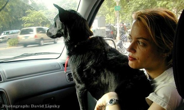 5.13.16 - I Rescued My Dog Augusta, But She Really Rescued Me2
