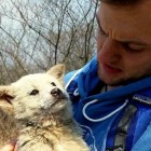 5.19.16 Hiker Saves Puppy Escaped from Meat Farm2