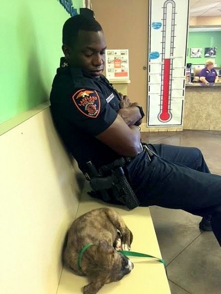 5.24.16 - Officer Refuses to Leave Stray Puppy’s Side Until He Knows She’s Safe3