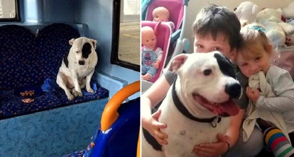 5.3.16 - Dog Dumped on Bus Reunited with Family3