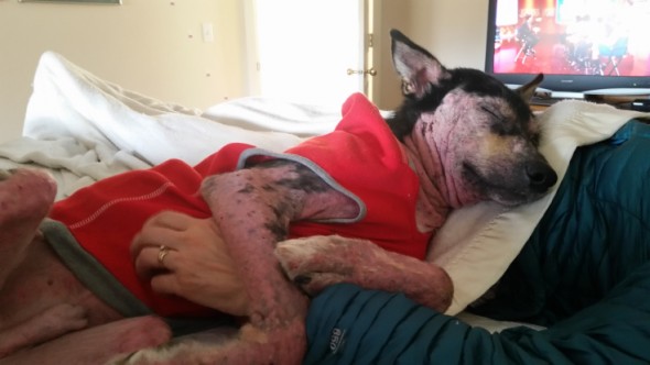 Zeke snuggling-with-my-mom-in-anchorage-3-20-2015