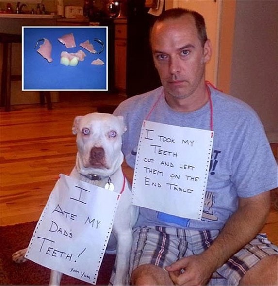 6.17.16 - Dog Shaming - Father's Day Edition1