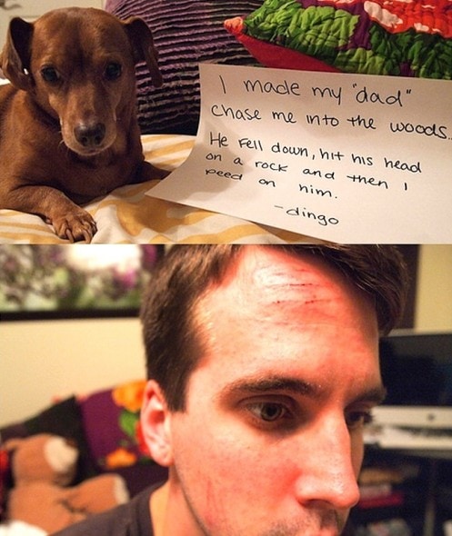 6.17.16 - Dog Shaming - Father's Day Edition23