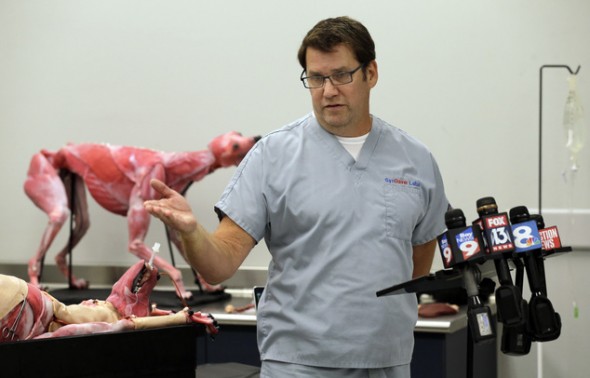 Dr. Christopher Sakezles, chief technology officer and founder of SynDaver Labs, gestures as he stands in front of a SynDaver Synthetic Canine during a news conference Tuesday, May 31, 2016, in Tampa, Fla. The synthetic canine is an extremely detailed and realistic surgical trainer. The company is hoping the creation will end the need for live animals being used in veterinary medical schools. (AP Photo/Chris O'Meara)