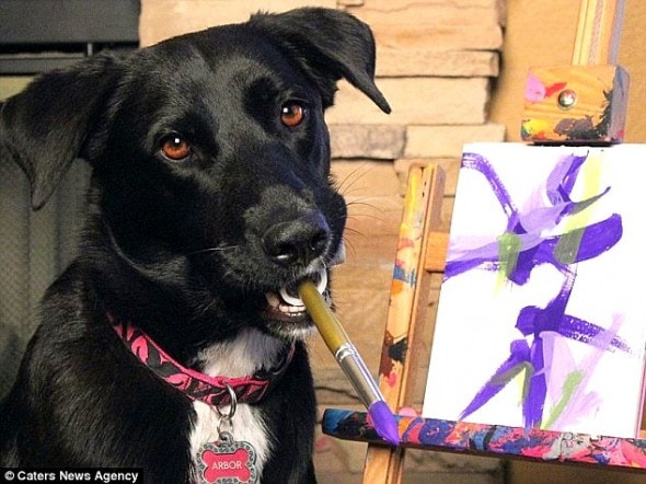 6.22.16 - Rescue Dog Now Raises Money for Other Shelter Dogs with Her Paintings1