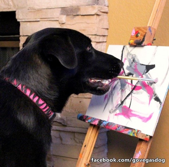 6.22.16 - Rescue Dog Now Raises Money for Other Shelter Dogs with Her Paintings3