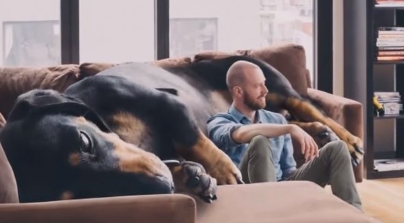 6.25.16 - giant Doxie7