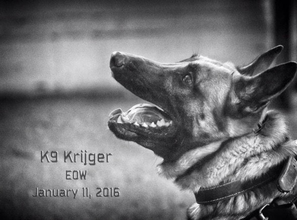 6.27.16 - Cooper4