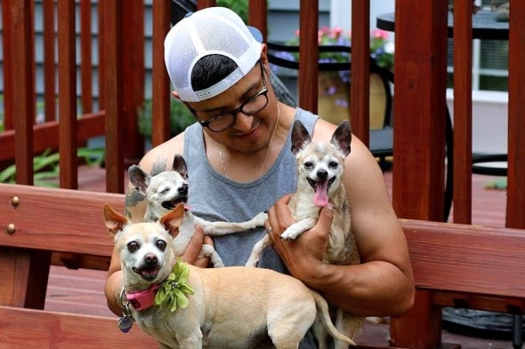 Do Dogs Have Spirits After They Die Do Dogs Have Spirits After They Die