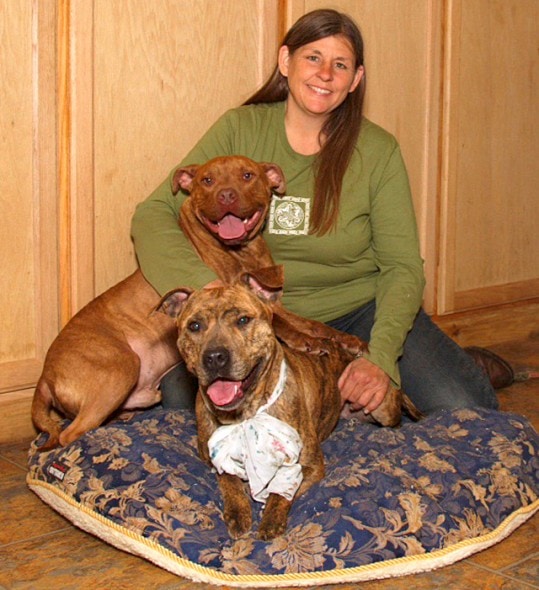 6.8.16 - Retired Police Officer Spends Life Savings Trying to Help Two Homeless Pit Bulls2
