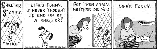 MUTTS 2