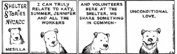 MUTTS 3