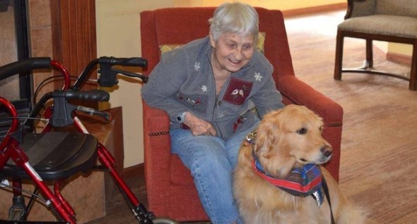 Gracie visits schools, hospitals and nursing homes to provide comfort.  Photo: Jane Marsh-Johnson ------------------------------------ 