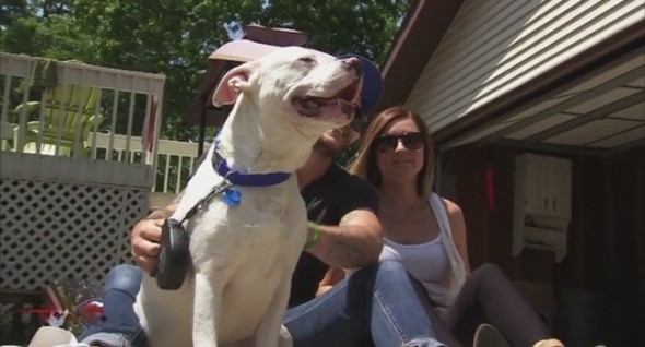 An ordinance banning pit bull's threatens to undo Diggy's adoption. Photo: FOX2 ------------------------------------ 